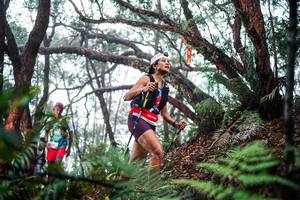 BIB: 
                            <button type="button" onclick="openModal(26296073)" class="btn btn-primary btn-sm float-right btn-popup" data-toggle="modal" data-target=".modal-high-quality">
                        <i class="fas fa-shopping-cart"></i> Add to Cart
                    </button>
                                            <button type="button" onclick="isThisMe(26296073, true)" class="btn btn-success btn-sm float-right btn-popup btn-isme hidden" data-toggle="tooltip" data-placement="bottom" title="นี่คือรูปของคุณใช่ไหม คลิกที่นี่เพื่อเอาเข้าอัลบั้ม">
                        <i class="fas fa-plus"></i> Add to album
                    </button>
                    <button type="button" onclick="isThisMe(26296073, false)" class="btn btn-warning btn-sm float-right btn-popup btn-isnotme hidden">
                        <i class="fas fa-ban"></i> Remove from album
                    </button>